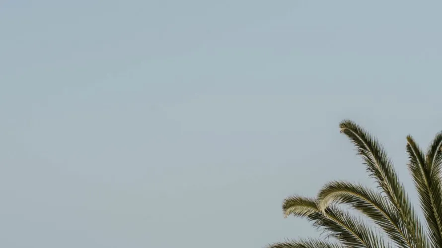 Сasa de 3 dormitorios en Marbella, Spain No. 1093 № 4