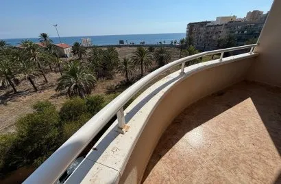 Apartamento de 1 dormitorio en Torrevieja, España No. 1561