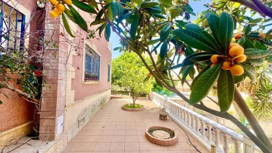 Villa de 3 dormitorios en Torrevieja, España No. 1486 № 21