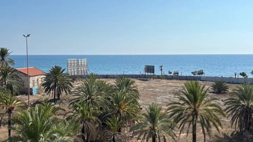 Apartamento de 1 dormitorio en Torrevieja, España No. 1561 № 6