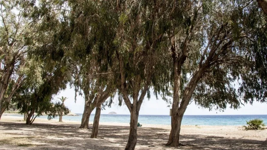 Parcela de 1 dormitorio en Villajoyosa, España No. 1693 № 9