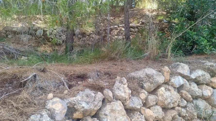 Parcela de en Galera de las Palmeras, España No. 2046 № 7