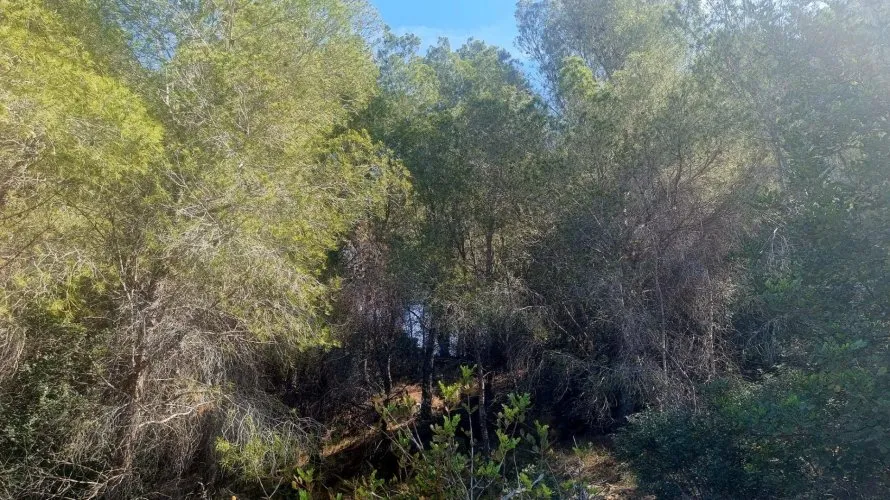 Parcela de en Galera de las Palmeras, España No. 2046 № 5