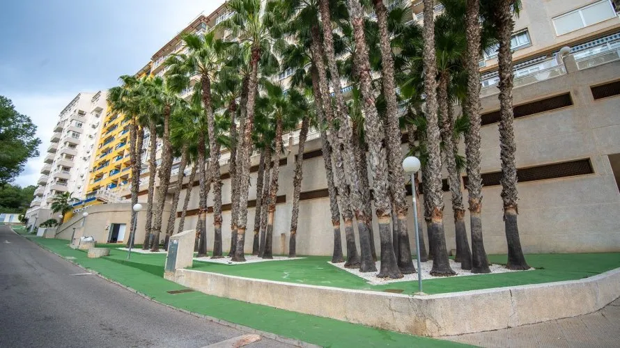 Ático de 2 dormitorios en Dehesa De Campoamor, España No. 2350 № 28