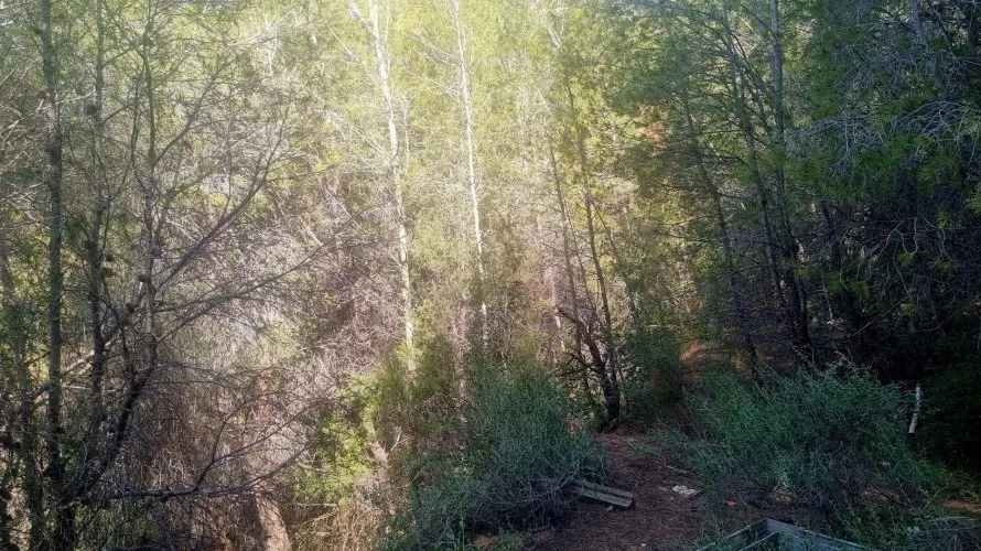 Parcela de en Galera de las Palmeras, España No. 2046 № 15
