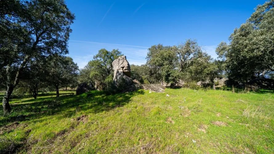 Сasa de 8 dormitorios en Colmenarejo, España No. 2699 № 16