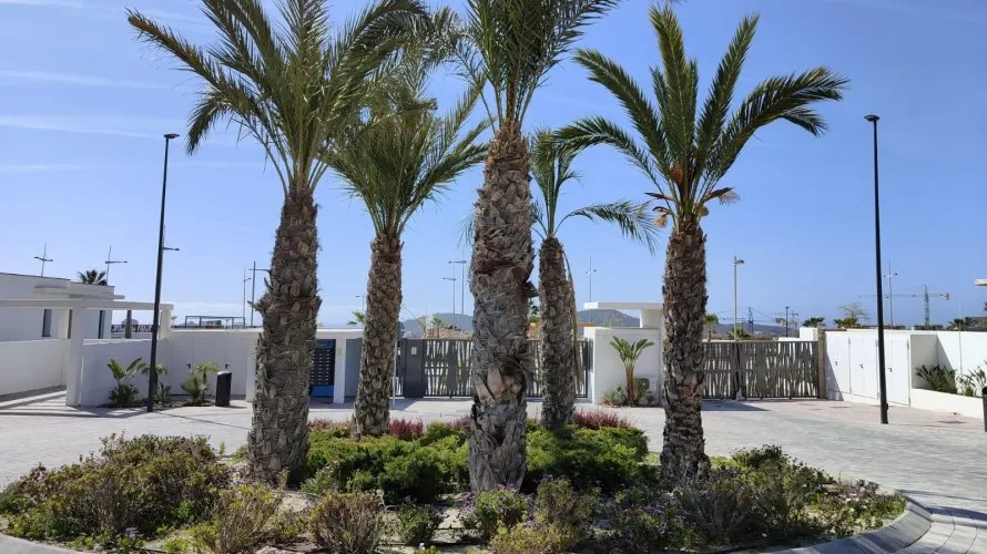 Apartamento de 2 dormitorios en Finestrat, España No. 1800 № 10