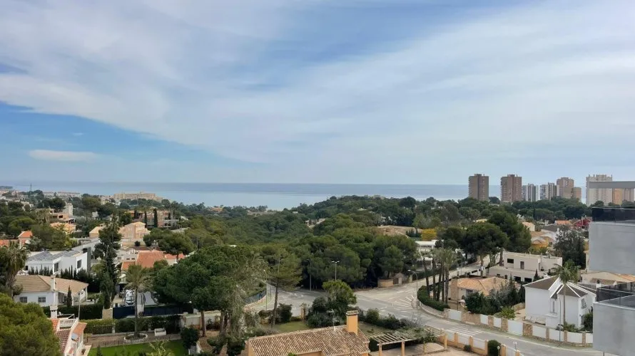 Apartamento de 2 dormitorios en Dehesa De Campoamor, España No. 1904 № 1