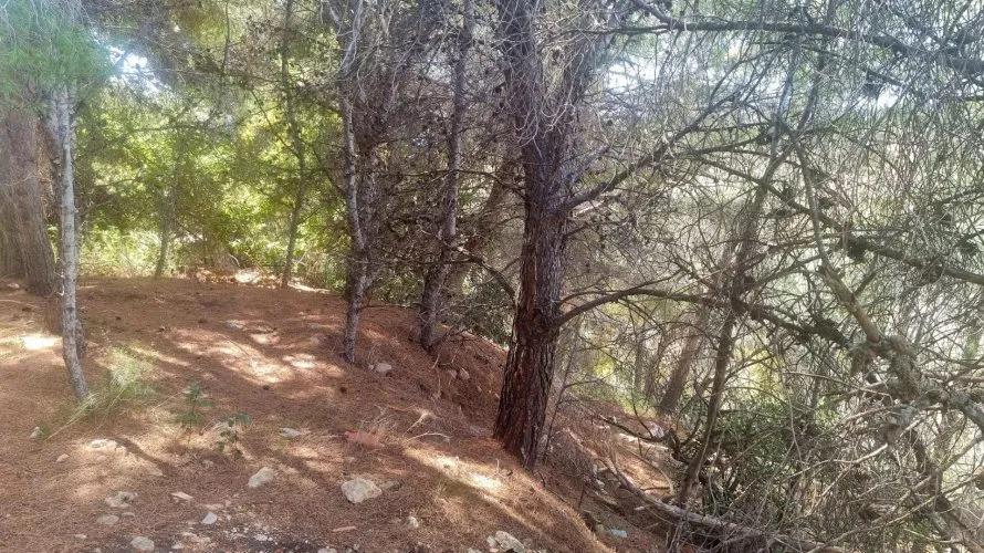Parcela de en Galera de las Palmeras, España No. 2046 № 10