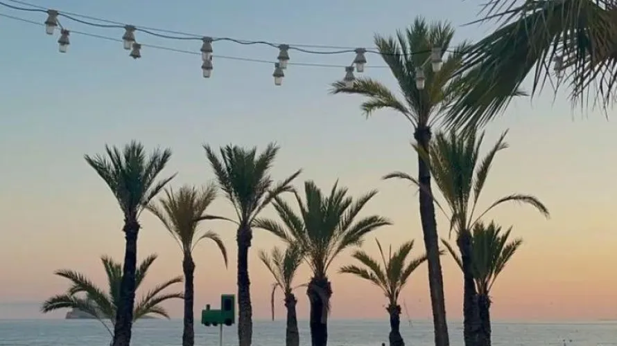 Apartamento de 1 dormitorio en Benidorm, España No. 2452 № 25