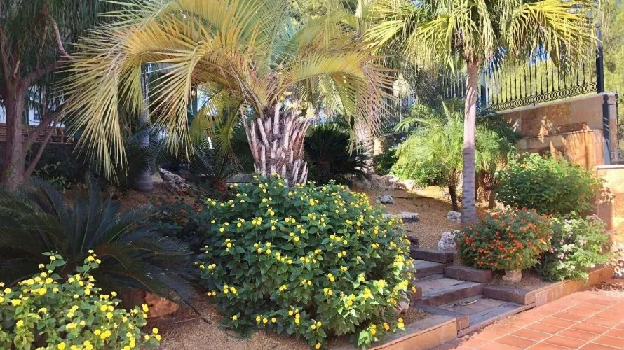 Villa de 6 dormitorios en El Palmar, España No. 2583 № 8