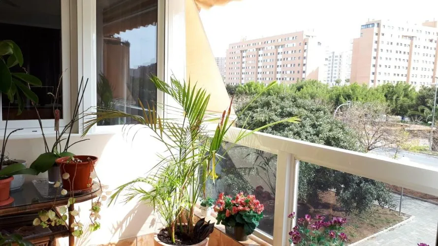 Apartamento de 3 dormitorios en Alicante, España No. 2404 № 8