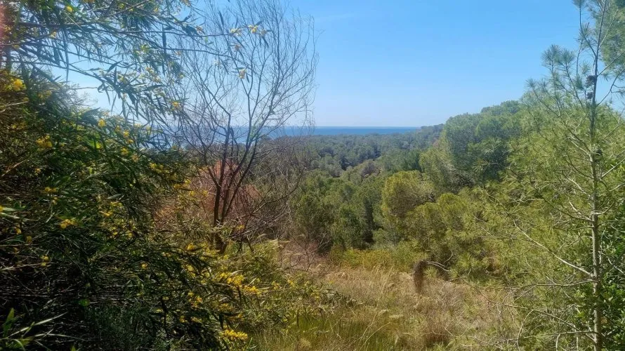 Parcela de en Galera de las Palmeras, España No. 2046 № 4
