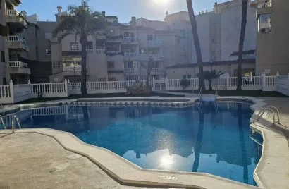 Apartamento de 1 dormitorio en Torrevieja, España No. 2940