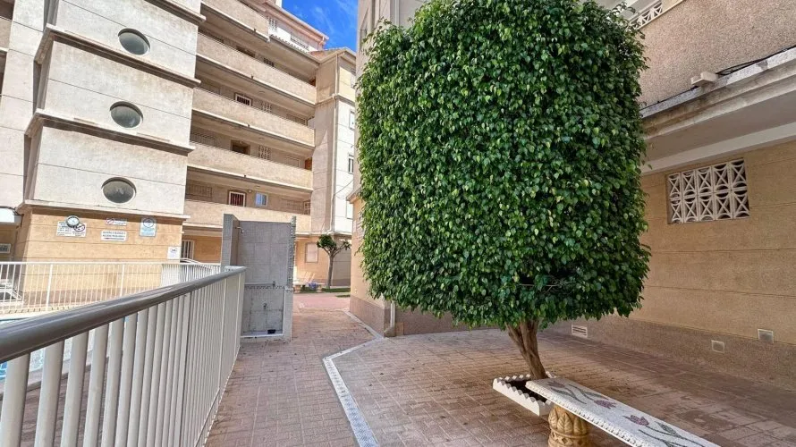 Apartamento de 2 dormitorios en Torrevieja, España No. 2735