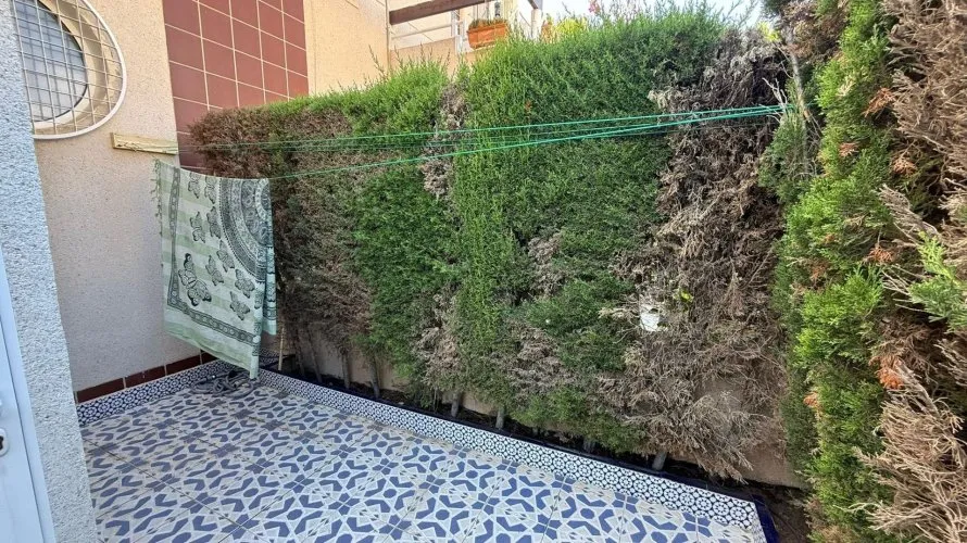Bungalow de 2 dormitorios en Torrevieja, España No. 3269 № 17
