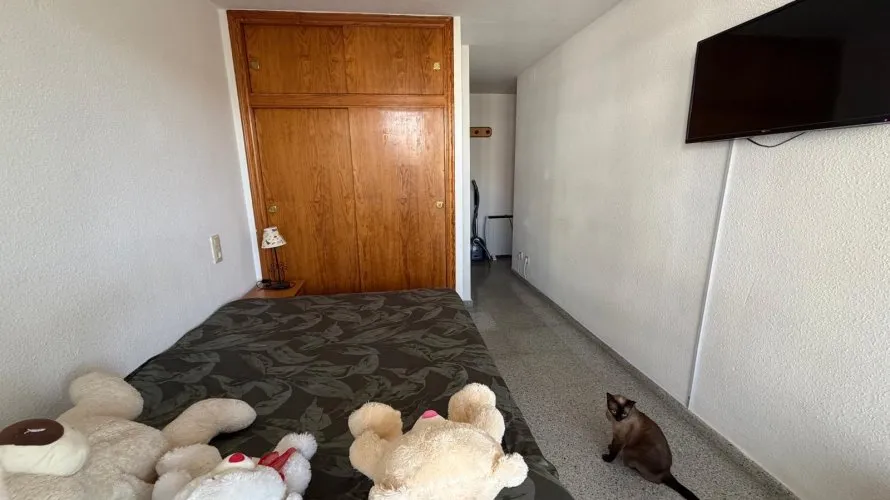Apartamento de 3 dormitorios en Guardamar del Segura, España No. 3343 № 11