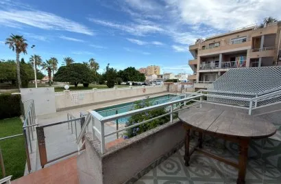 Bungalow de 1 dormitorio en Torrevieja, España No. 3424