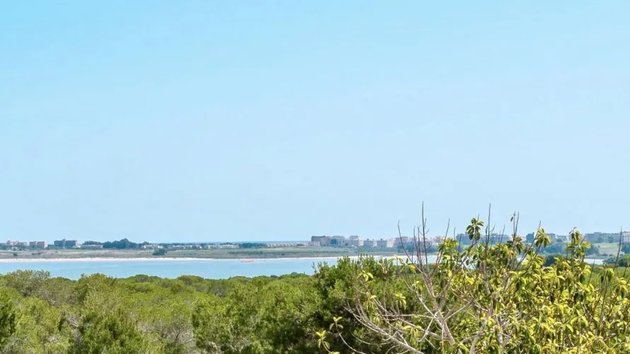 Сasa de 3 dormitorios en Torrevieja, España No. 3597 № 9