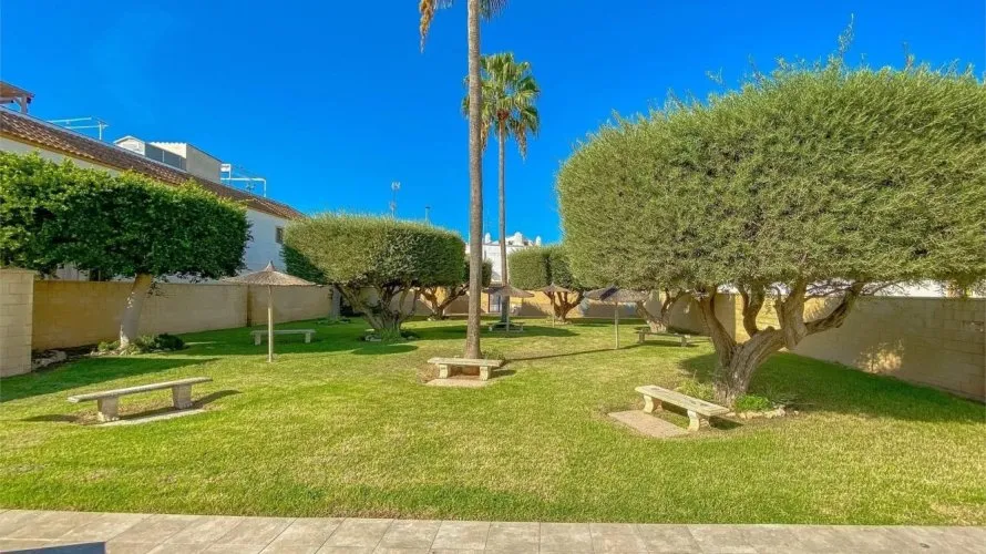 Bungalow de 55m² en Torrevieja, España No. 3619