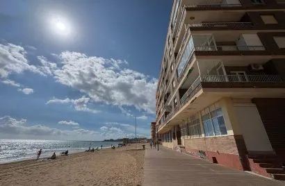 Apartment de 3 chambres à La Mata, Espagne No. 1517
