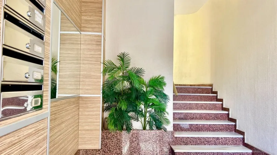 Apartment de 3 chambres à Torrevieja, Espagne No. 1522 № 5