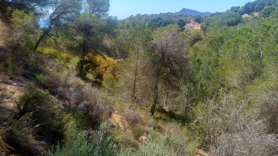 Land plot de à Galera de las Palmeras, Espagne No. 2046 № 11