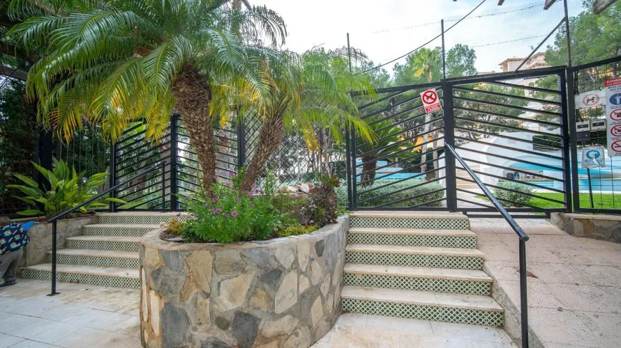 Penthouse de 2 chambres à Dehesa De Campoamor, Espagne No. 2350 № 27