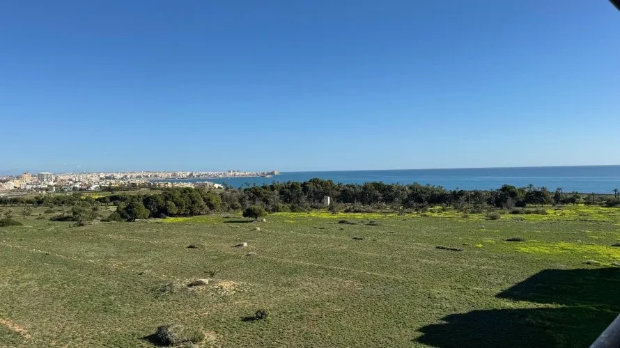 Penthouse de 2 chambres à Torrevieja, Espagne No. 2250 № 11