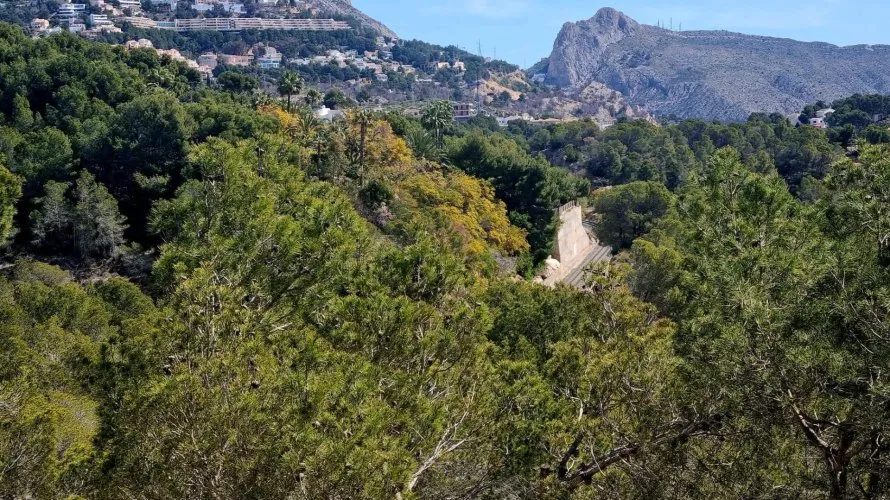 Land plot de à Galera de las Palmeras, Espagne No. 2046 № 13