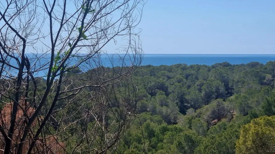 Land plot de à Galera de las Palmeras, Espagne No. 2046 № 3