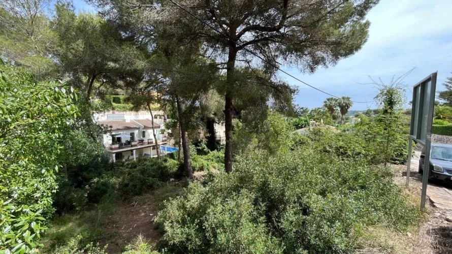 Land plot de à Cap Martin, Espagne No. 1594 № 3