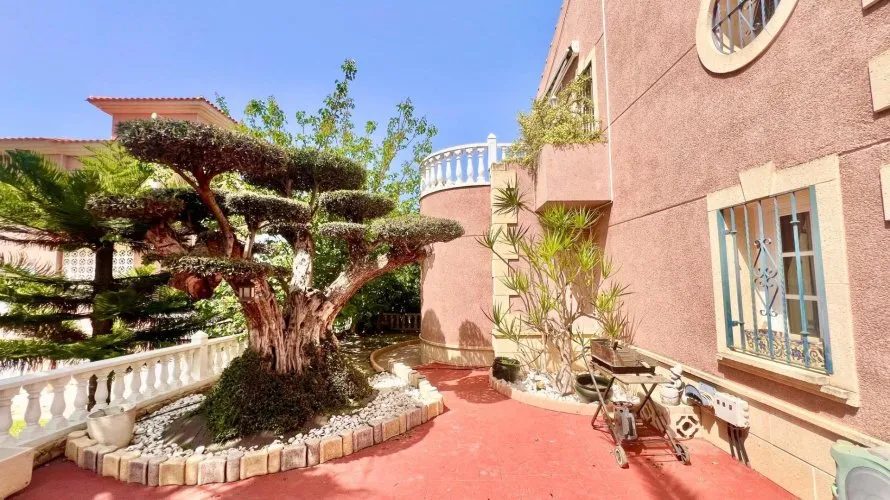 Villa de 3 chambres à Torrevieja, Espagne No. 1486 № 17