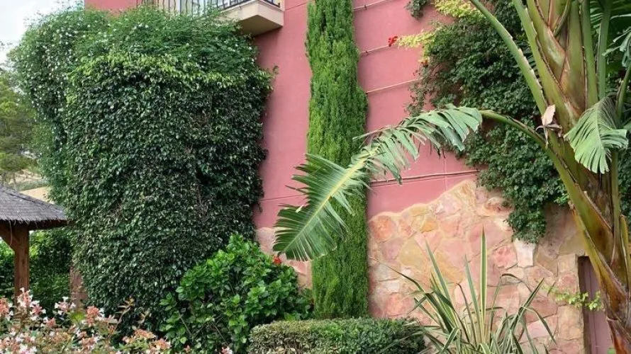 Apartment de 3 chambres à Galera de las Palmeras, Espagne No. 1864 № 2