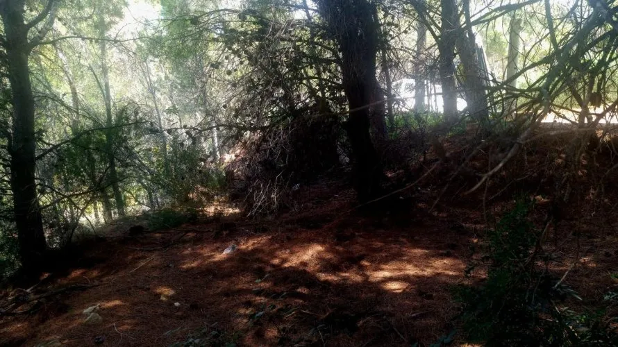 Land plot de à Galera de las Palmeras, Espagne No. 2046 № 9