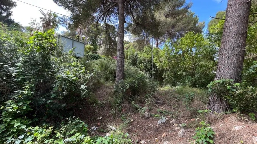 Land plot de à Cap Martin, Espagne No. 1594 № 9