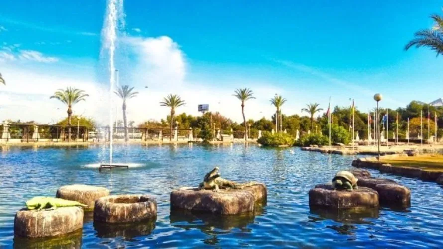 Villa de 3 chambres à Torrevieja, Espagne No. 1752 № 17