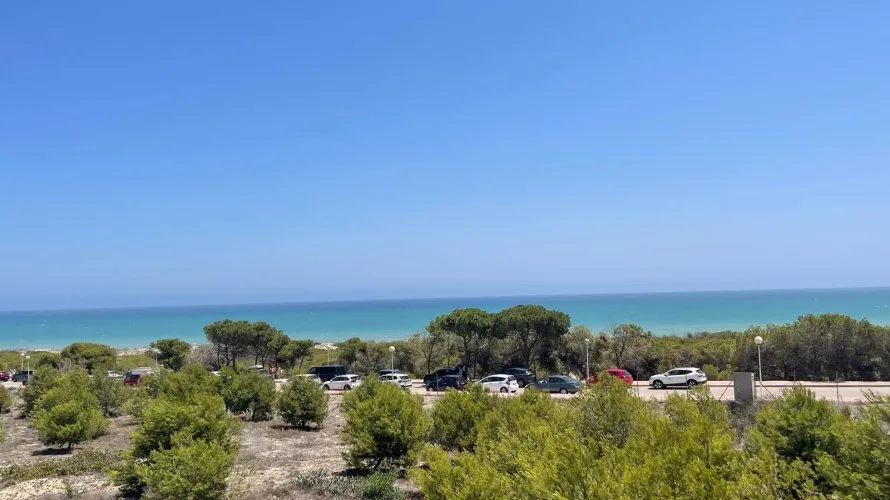 Apartment de 78m² à Guardamar del Segura, Espagne No. 2392 № 9