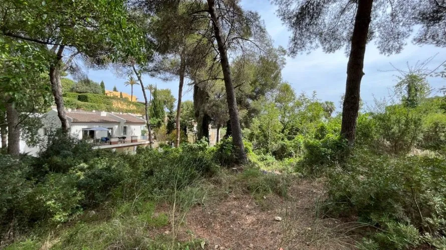 Land plot de à Cap Martin, Espagne No. 1594 № 4
