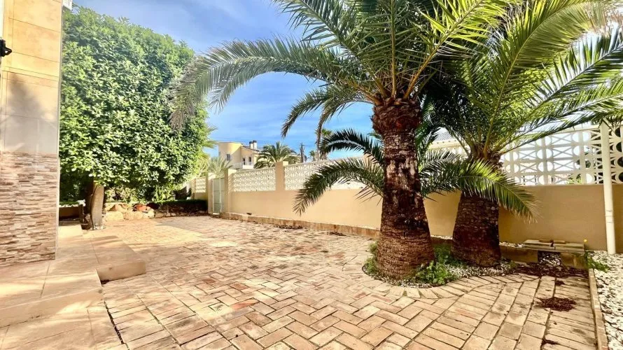 Villa de 4 chambres à Torrevieja, Espagne No. 1553 № 11
