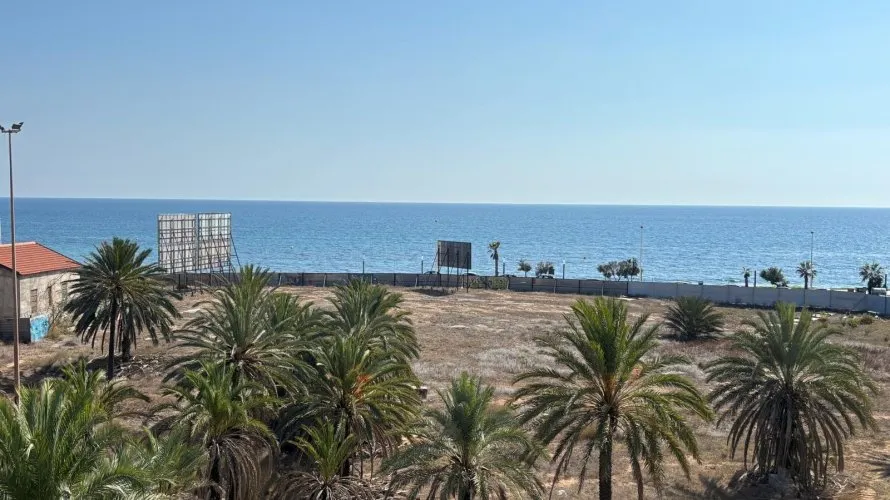 Apartment de 1 chambre à Torrevieja, Espagne No. 1561 № 8