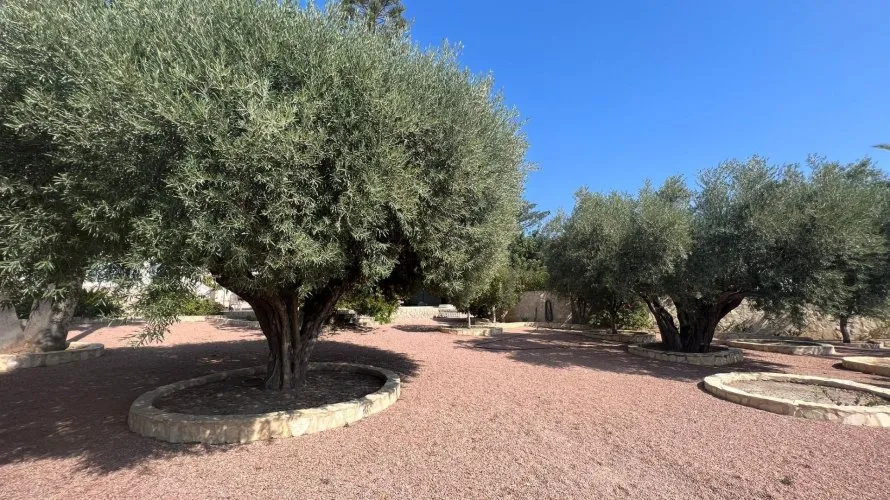 Villa de 236m² à Rojales, Espagne No. 2493 № 5