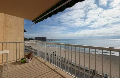 Apartment de 4 chambres à Torrevieja, Espagne No. 2294