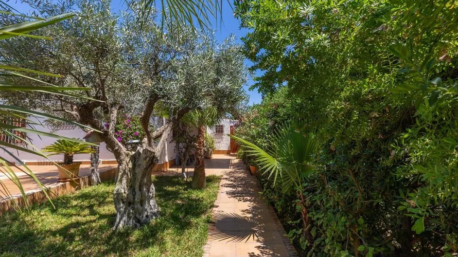 Villa de 4 chambres à Alicante, Espagne No. 2086 № 18