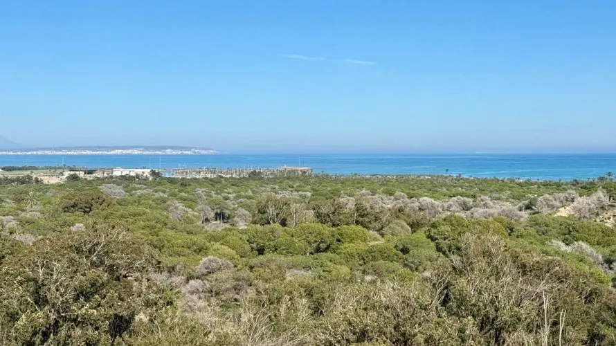 Apartment de 3 chambres à Guardamar del Segura, Espagne No. 2280 № 5
