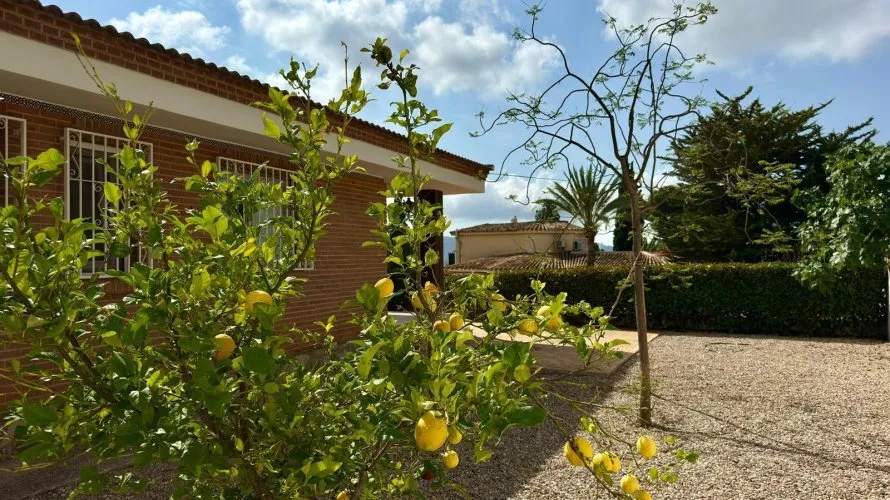 Villa de 3 chambres à La Nucia, Espagne No. 1568 № 20