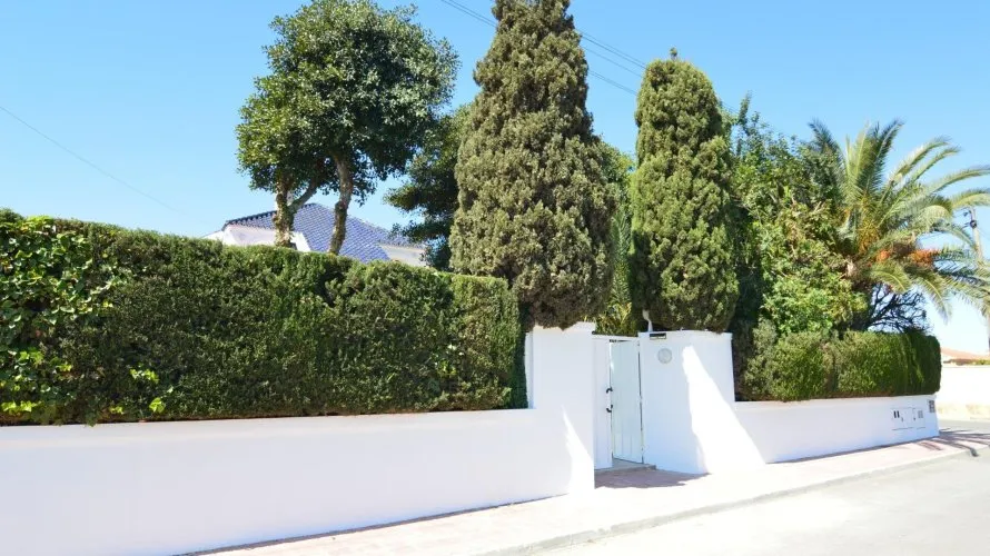 Villa de 4 chambres à Torrevieja, Espagne No. 1477 № 5