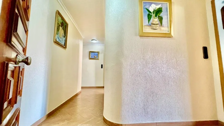 Apartment de 3 chambres à Torrevieja, Espagne No. 1522 № 7