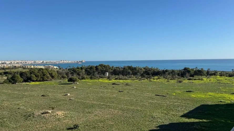 Penthouse de 2 chambres à Torrevieja, Espagne No. 2250 № 10