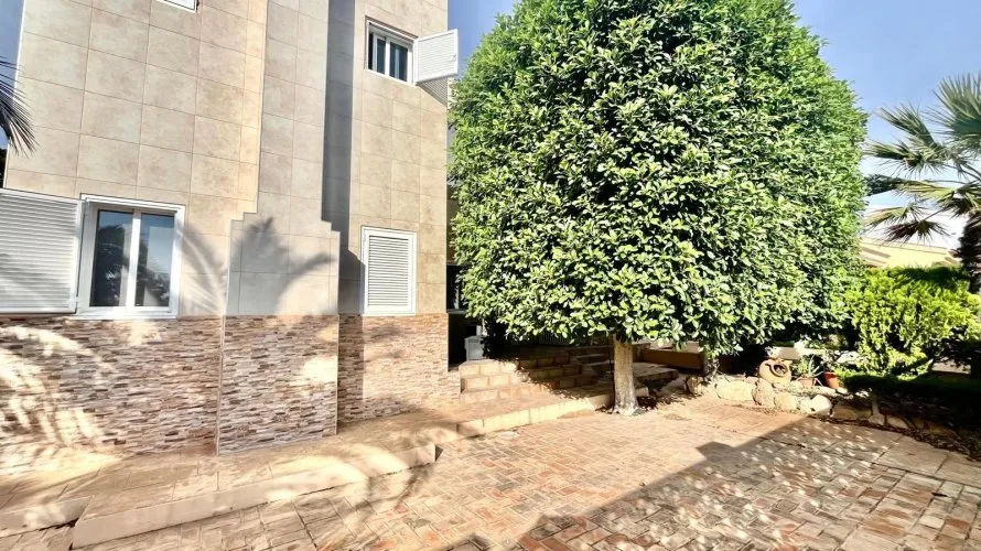 Villa de 4 chambres à Torrevieja, Espagne No. 1553 № 6